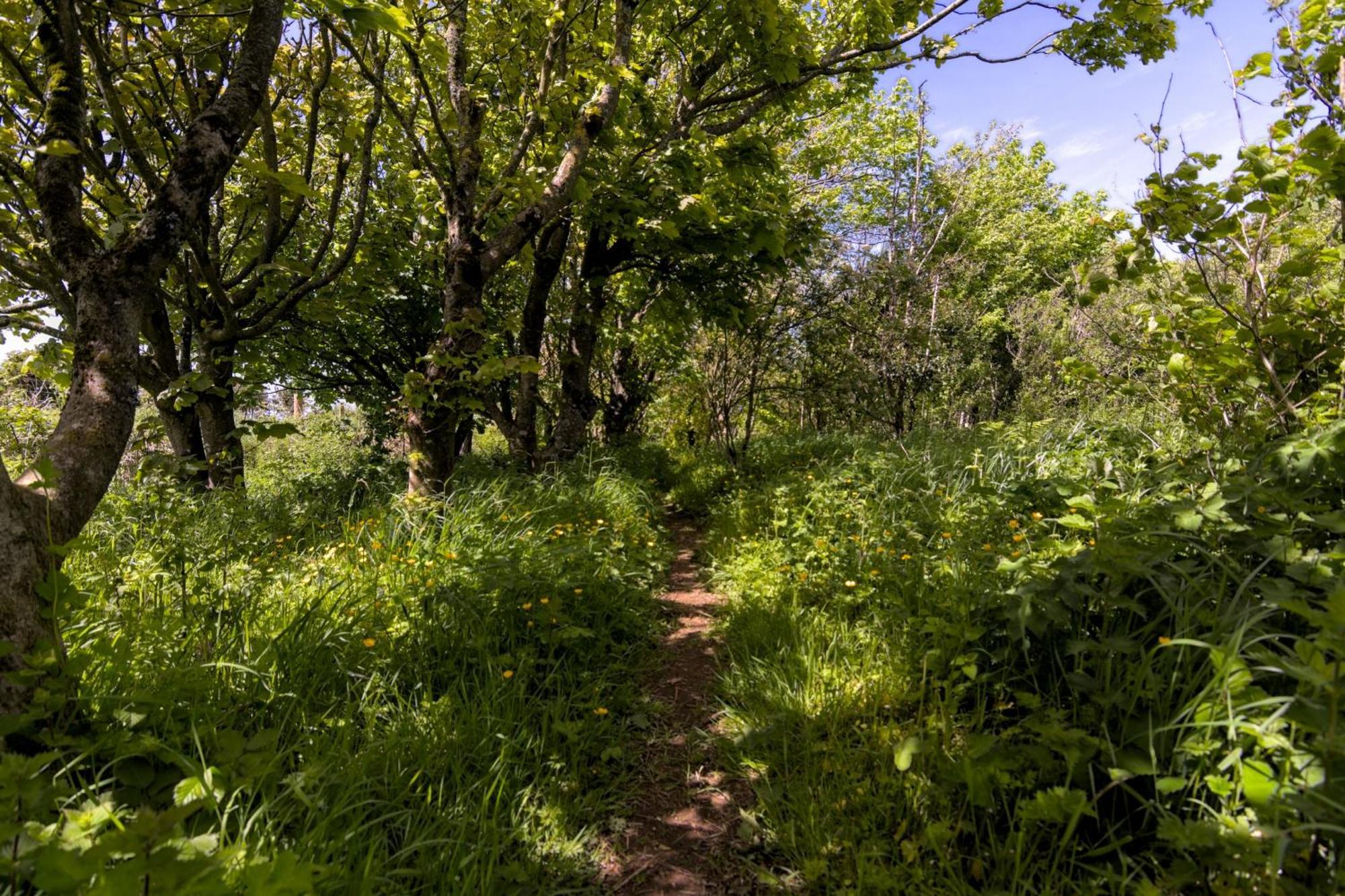 The Workshop- Eco Cottage By The Coastal Path Goodwick 外观 照片